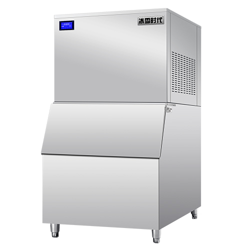 500公斤片冰機(jī)(帶外罩)